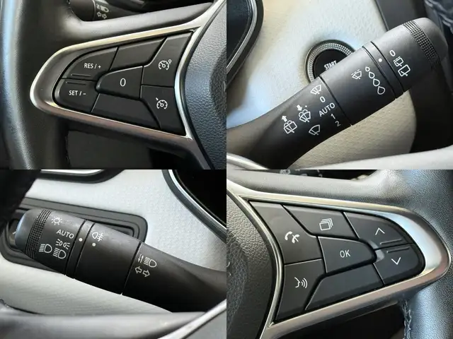 Renault Clio view 14