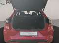 Ford Puma Puma ST-Line X - thumbnail 9