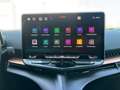 CUPRA Tavascan 210kW/286PS Grau - thumbnail 14