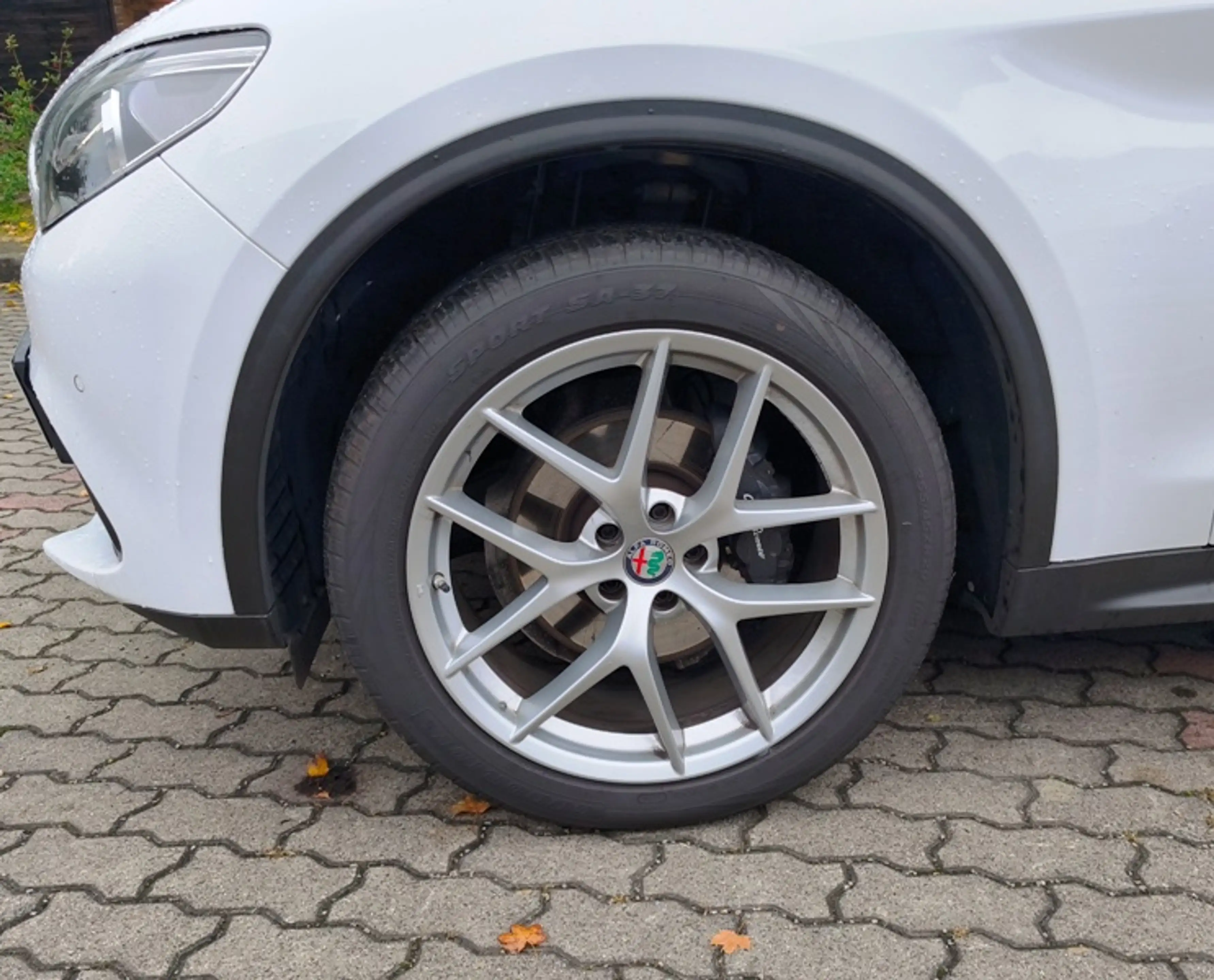 Alfa Romeo Stelvio 2.0 Turbo 16V AT8-Q4 First Edition — photo 13