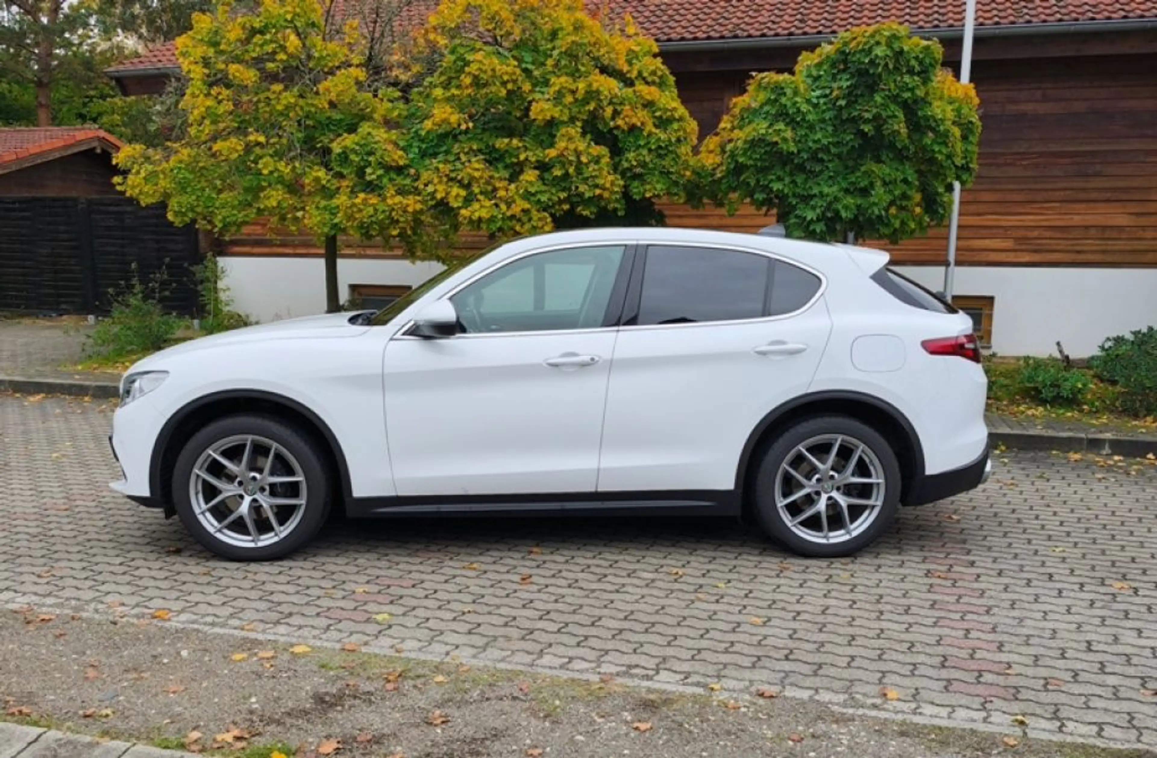 Alfa Romeo Stelvio 2.0 Turbo 16V AT8-Q4 First Edition — photo 2