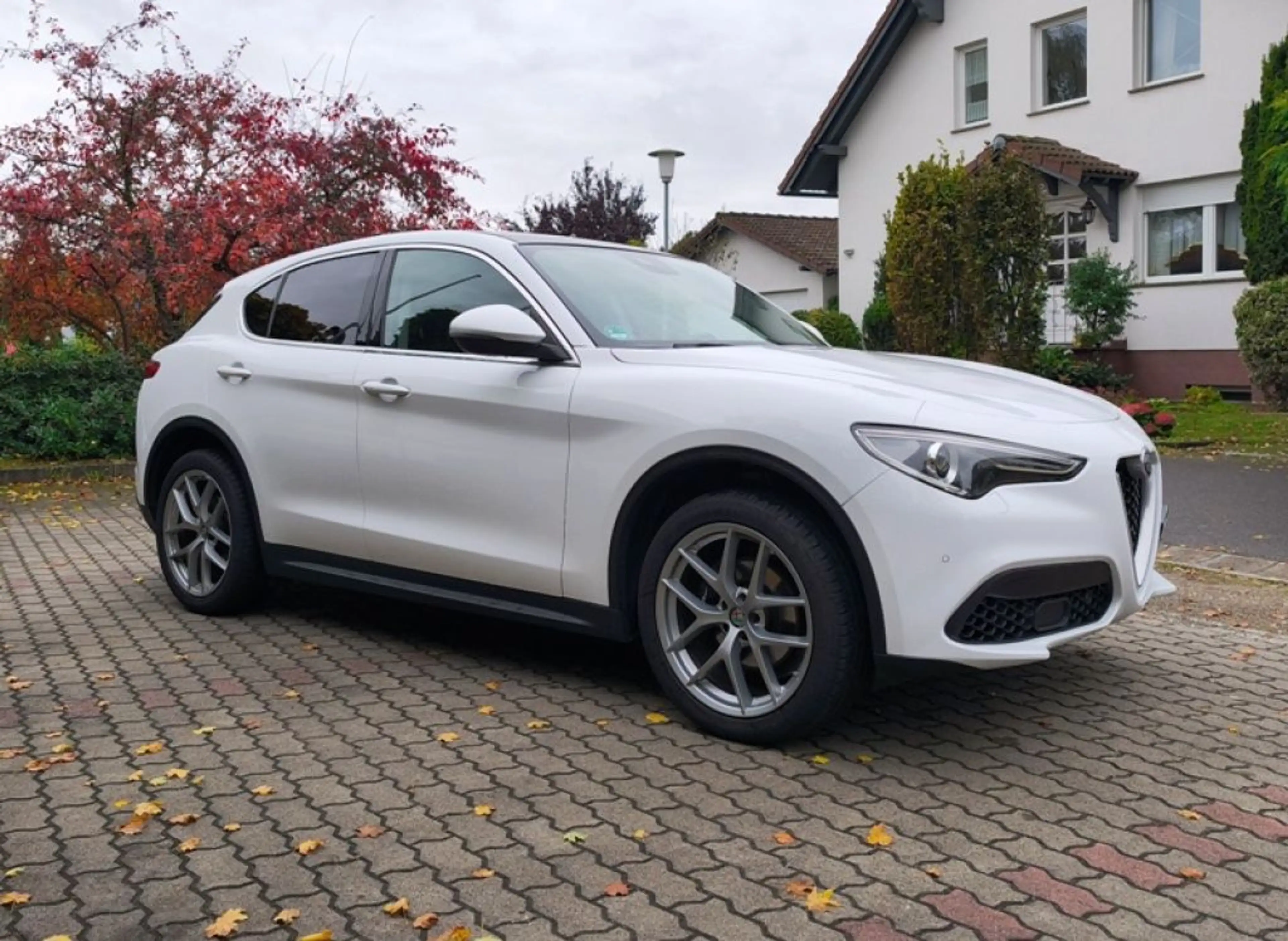 Alfa Romeo Stelvio 2.0 Turbo 16V AT8-Q4 First Edition — photo 6