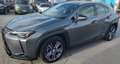 Lexus UX 200 UX 2019 250h 2.0 Business 2wd cvt my20 Grau - thumbnail 1
