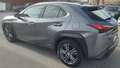 Lexus UX 200 UX 2019 250h 2.0 Business 2wd cvt my20 Grau - thumbnail 4