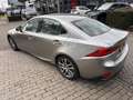 Lexus IS 300 300h Hybrid Sport Edition, 17", dealer onderhouden Grau - thumbnail 3