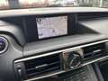 Lexus IS 300 300h Hybrid Sport Edition, 17", dealer onderhouden Grau - thumbnail 10