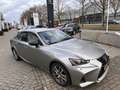 Lexus IS 300 300h Hybrid Sport Edition, 17", dealer onderhouden Grau - thumbnail 6