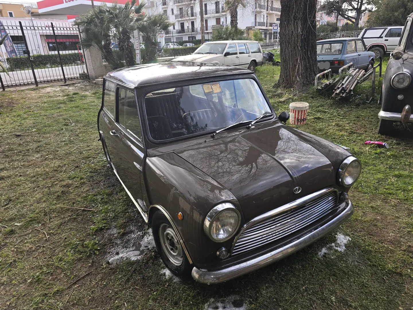 Innocenti Mini Mk1 Leva lunga Braun - 1