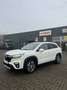 Suzuki S-Cross S-Cross 1.4 Boosterjet Hybrid ALLGRIP Comfort+ - thumbnail 8