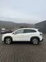 Suzuki S-Cross S-Cross 1.4 Boosterjet Hybrid ALLGRIP Comfort+ - thumbnail 7