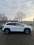 Suzuki S-Cross S-Cross 1.4 Boosterjet Hybrid ALLGRIP Comfort+ - thumbnail 3