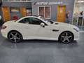 Mercedes-Benz SLK 250 CDI BE 7G Plus Weiß - thumbnail 13