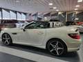 Mercedes-Benz SLK 250 CDI BE 7G Plus Weiß - thumbnail 27