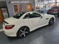 Mercedes-Benz SLK 250 CDI BE 7G Plus Weiß - thumbnail 14