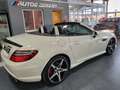 Mercedes-Benz SLK 250 CDI BE 7G Plus Weiß - thumbnail 20