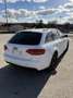 Audi A4 Avant 2,0 TDI DPF Weiß - thumbnail 4