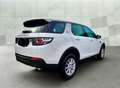 Land Rover Discovery Sport 2.0 TDI, Allrad, Automatik, Allwetterreifen Weiß - thumbnail 2
