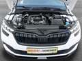 Skoda Kamiq 1,0 TSI Monte Carlo DSG*VIRTUAL*PDC*LED*PANORAM... Weiß - thumbnail 30