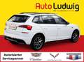 Skoda Kamiq 1,0 TSI Monte Carlo DSG*VIRTUAL*PDC*LED*PANORAM... Weiß - thumbnail 2