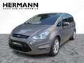 Ford S-Max (0010- ) 2.2 TDCi Titanium (02.2010- ) CAM Braun - thumbnail 1