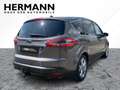 Ford S-Max (0010- ) 2.2 TDCi Titanium (02.2010- ) CAM Braun - thumbnail 4