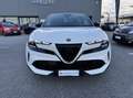 Alfa Romeo Junior 1.2 ibrida Speciale 145cv edct6 Blanc - thumbnail 3
