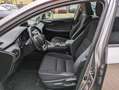 Lexus NX 300h 2.5 Hybrid Business CVT 4WD Grigio - thumbnail 13