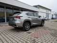 Lexus NX 300h 2.5 Hybrid Business CVT 4WD Grigio - thumbnail 4