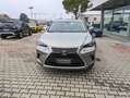 Lexus NX 300h 2.5 Hybrid Business CVT 4WD Grigio - thumbnail 7