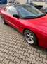 Pontiac Firebird werksausstattung crvena - thumbnail 7