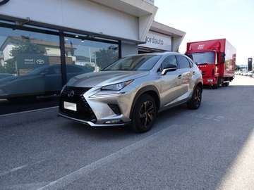 1ª SERIE Hybrid 4WD Premium 300h