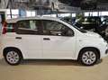 Fiat Panda 1.2i, 1 eigenaar,airco,garantie Blanc - thumbnail 4