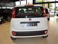 Fiat Panda 1.2i, 1 eigenaar,airco,garantie Blanc - thumbnail 6