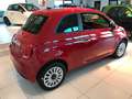 Fiat 500 Hybrid Rot - thumbnail 4