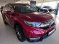 Honda CR-V 1.5T 4WD CVT Lifestyle Red - thumbnail 1