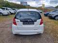 Honda Jazz 1.2 50 Jahre Edition Klima Blanc - thumbnail 8