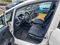Honda Jazz 1.2 50 Jahre Edition Klima Blanc - thumbnail 10