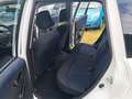 Honda Jazz 1.2 50 Jahre Edition Klima Blanc - thumbnail 11