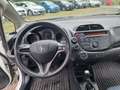 Honda Jazz 1.2 50 Jahre Edition Klima Blanc - thumbnail 12