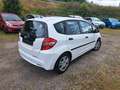 Honda Jazz 1.2 50 Jahre Edition Klima Blanc - thumbnail 7