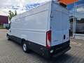 Iveco Daily 35S14V Maxikasten RS 4100mm Weiß - thumbnail 4