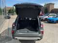 Ford Kuga TITANIUM X PHEV *TECHNOLOGIE-PAKET Grau - thumbnail 4