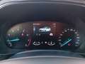 Ford Focus Turnier 1.0 MHEV ST-LINE *Fahrass.Pk*WinterPk* Weiß - thumbnail 12