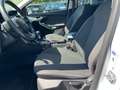 Ford Focus 1.0 EcoBoost Start-Stopp-System Titanium Bianco - thumbnail 9