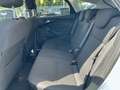 Ford Focus 1.0 EcoBoost Start-Stopp-System Titanium Bianco - thumbnail 10