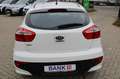 Kia Rio Attract Blanc - thumbnail 10