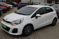 Kia Rio Attract Blanc - thumbnail 7