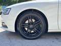 Audi A5 Sportback 2,0 TDI Ultra+Navi+Voll-leder+Sitzhei... Weiß - thumbnail 10