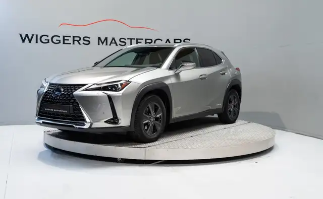 Lexus UX 250h 250 H Bussines Line, El.achterklep, Keyless, Ad.cr