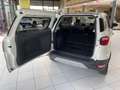 Ford EcoSport 1.0 EcoBoost+Rückfahrkamera+SHZ+ALU+ACC Weiß - thumbnail 13
